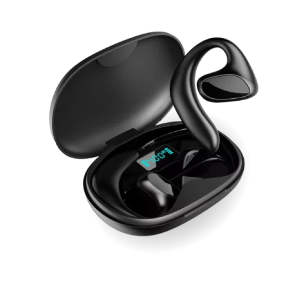 Polaro Transbuds